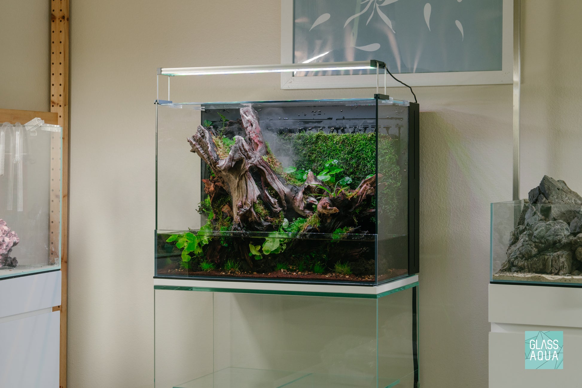 Ultum Nature Systems Foresta 60E Integrated Paludarium with Malaysian Driftwood