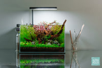 Build Your Own Aquarium Kit - Nano Tank - Glass Aqua