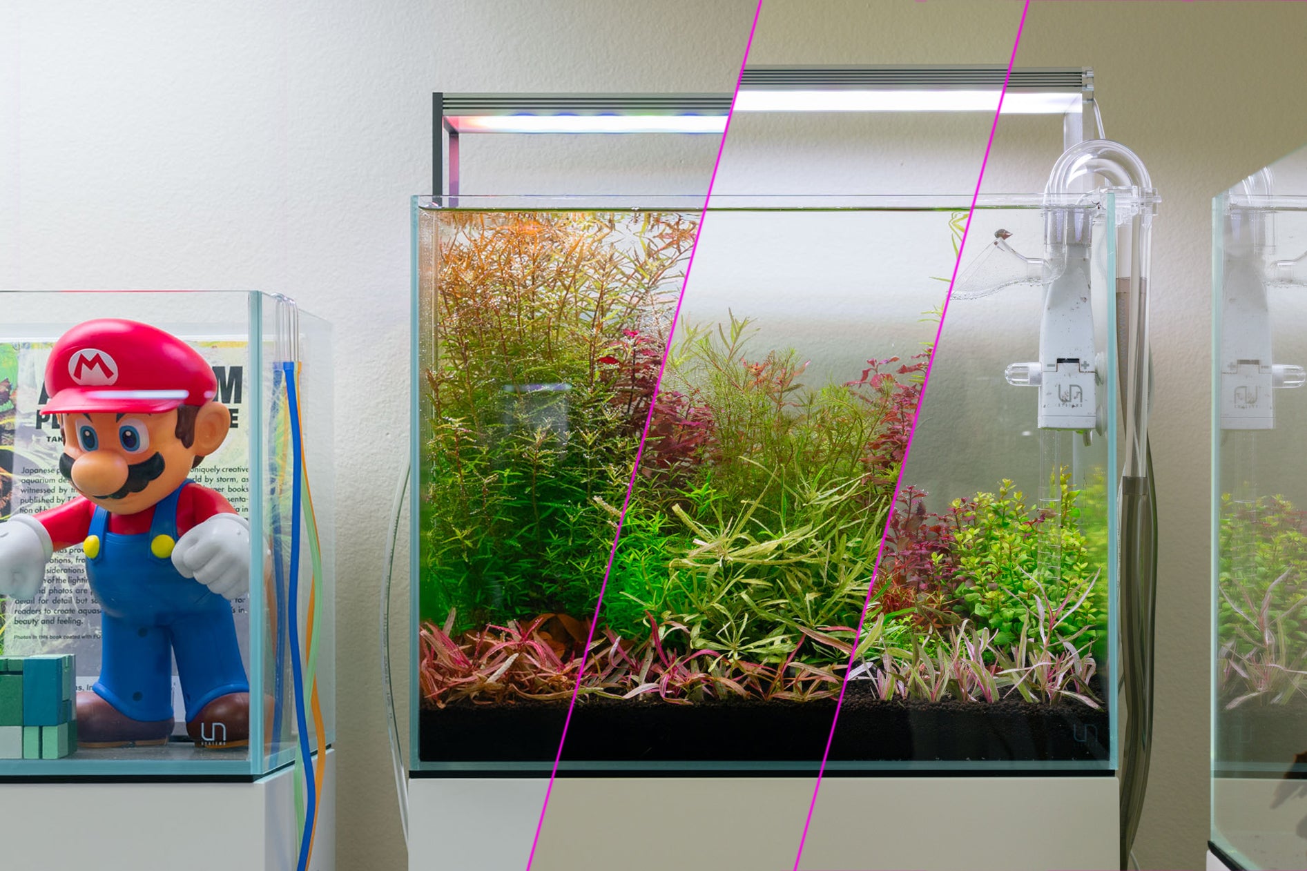 Build Your Own Dutch Style Stem Plant Pack - Glass Aqua