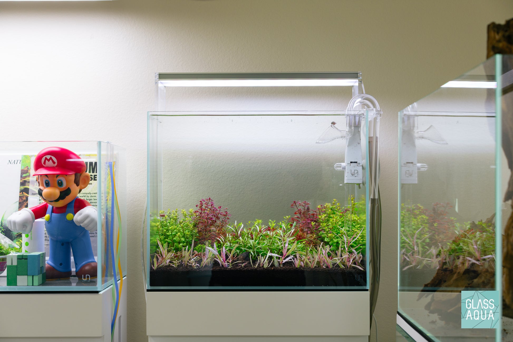 Build Your Own Dutch Style Stem Plant Pack