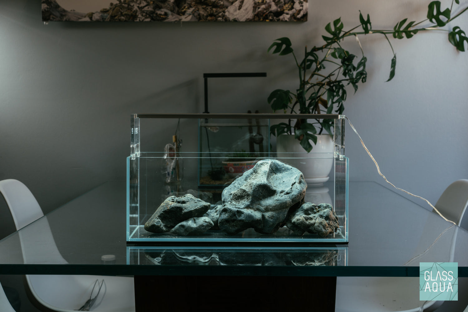 Ultum Nature Systems UNS 45L Long Rimless Glass Aquarium Tank Iwagumi Aquascape