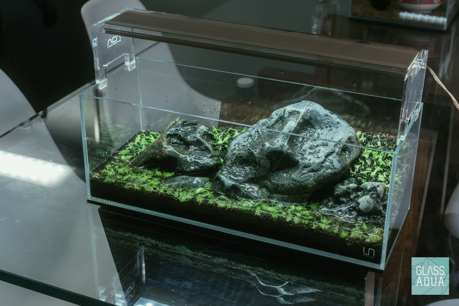 Ultum Nature Systems UNS 45L Long Rimless Glass Aquarium Tank Iwagumi Aquascape