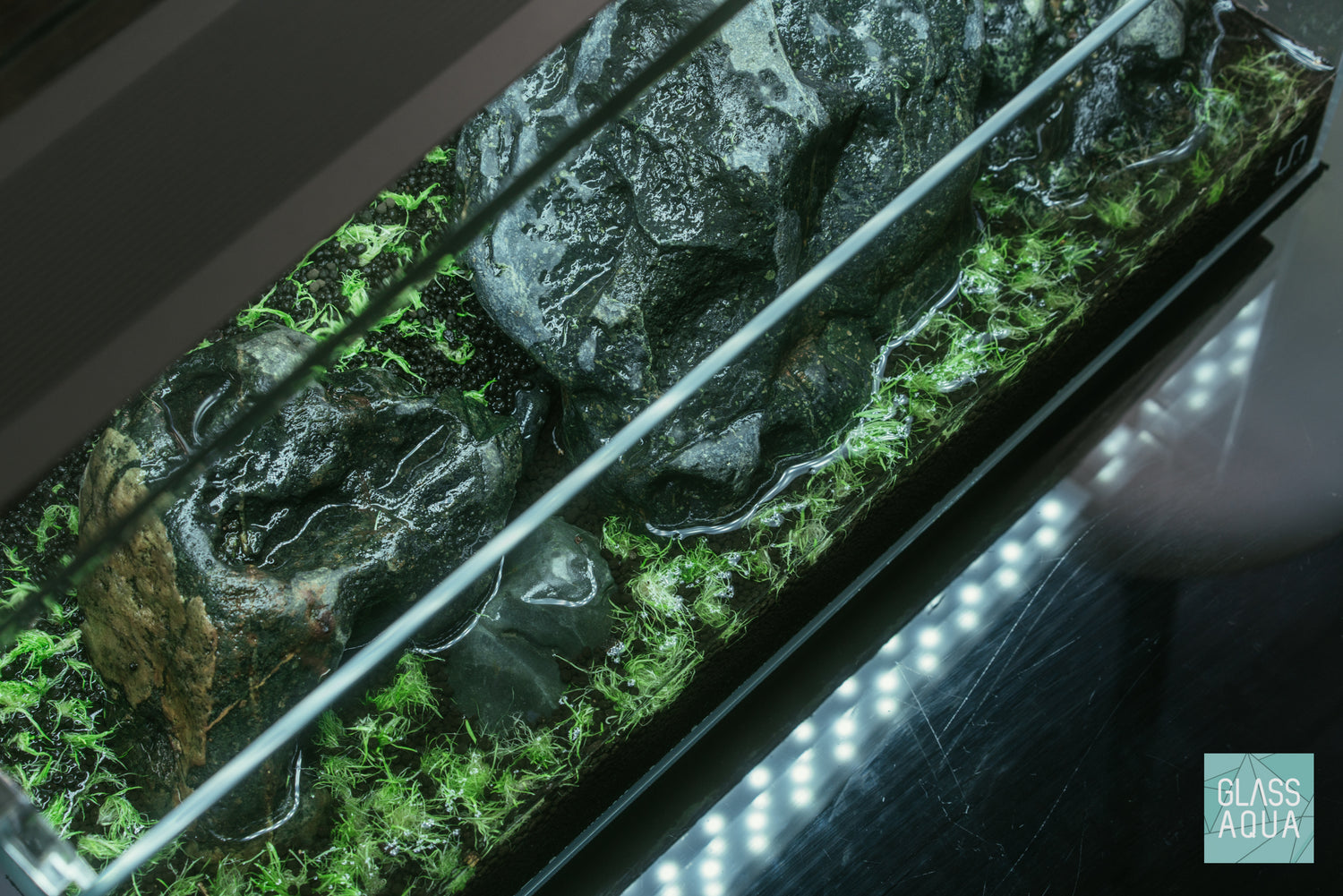 Ultum Nature Systems UNS 45L Long Rimless Glass Aquarium Tank Iwagumi Aquascape