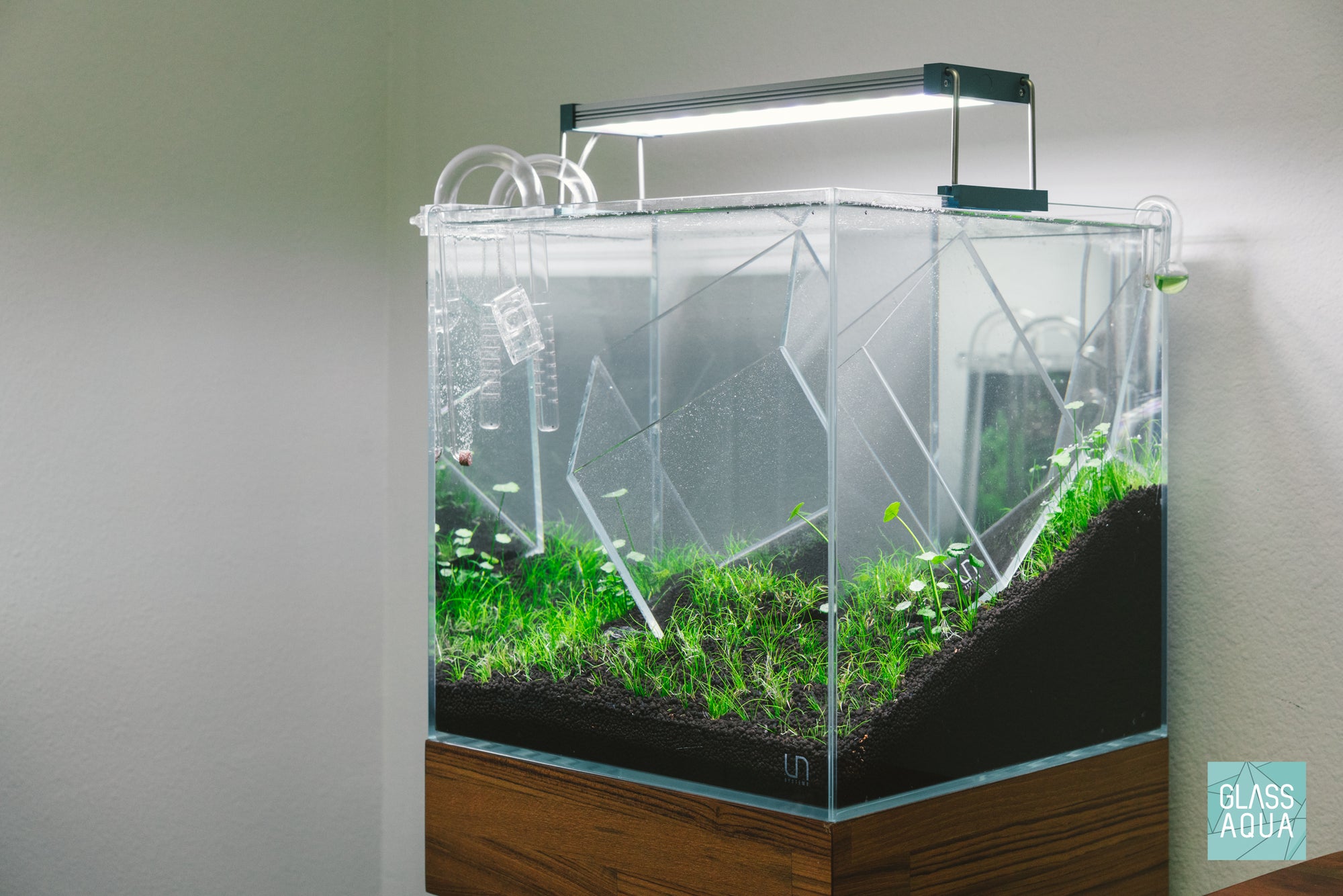 Tankception - UNS 30C and UNS 16C rimless glass cube aquariums
