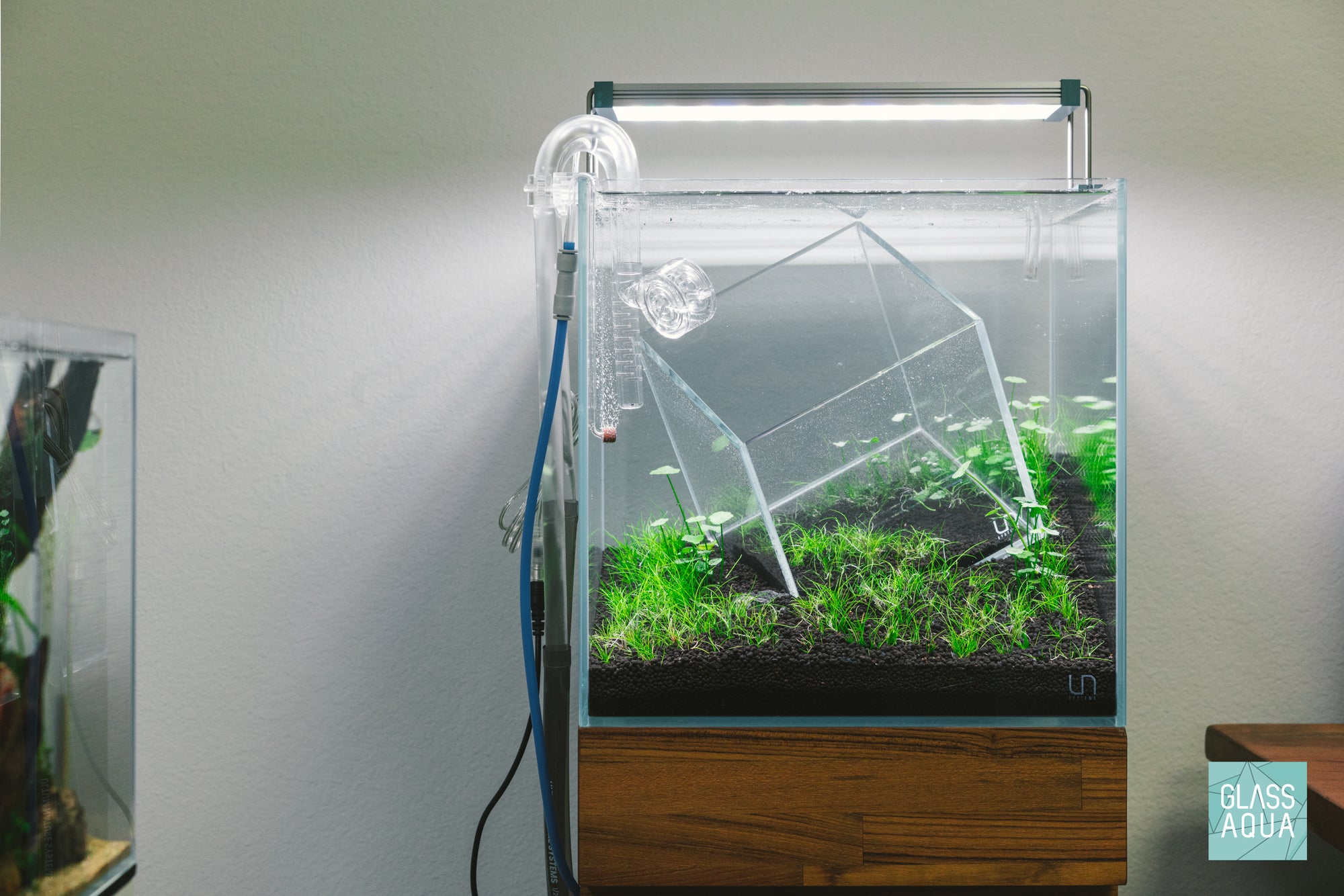 Tankception - UNS 30C and UNS 16C rimless glass aquariums