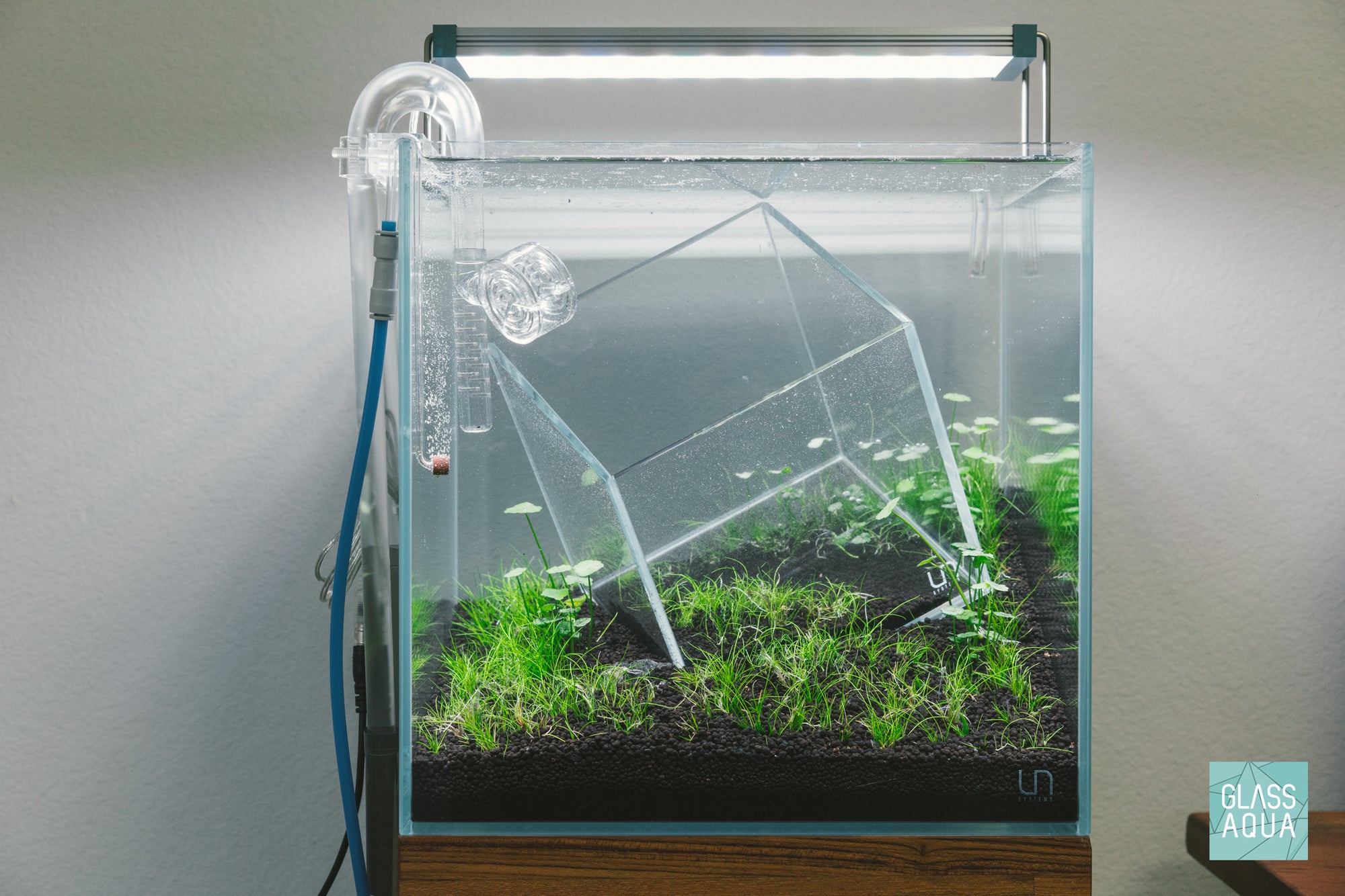 Experimental planted aquarium design by Glass Aqua