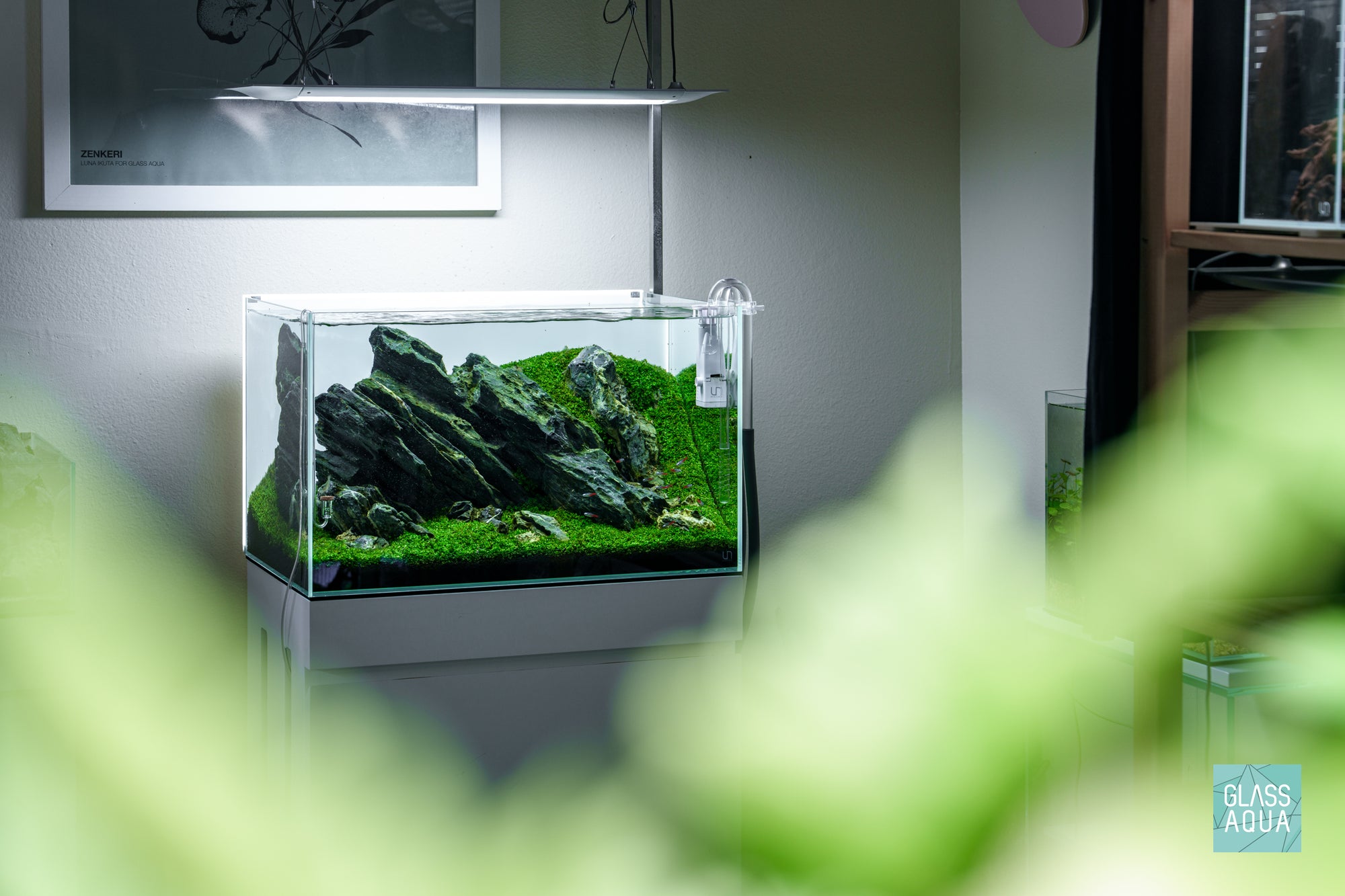 Iwagumi aquascape in an Ultum Nature Systems 60U 20 gallon rimless glass aquarium