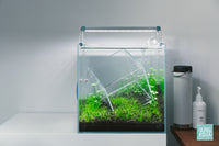 Tankception - planted aquarium design by Glass Aqua