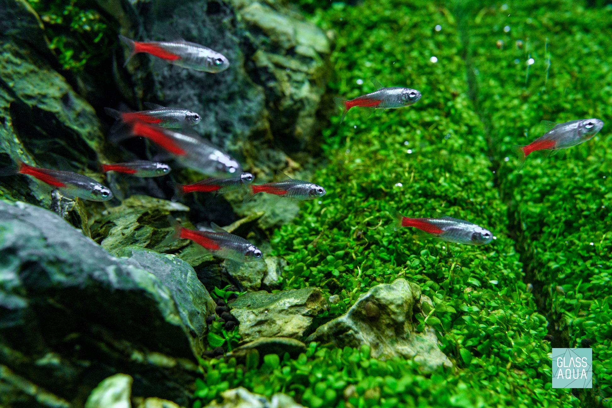 Ultum Nature Systems Controbase