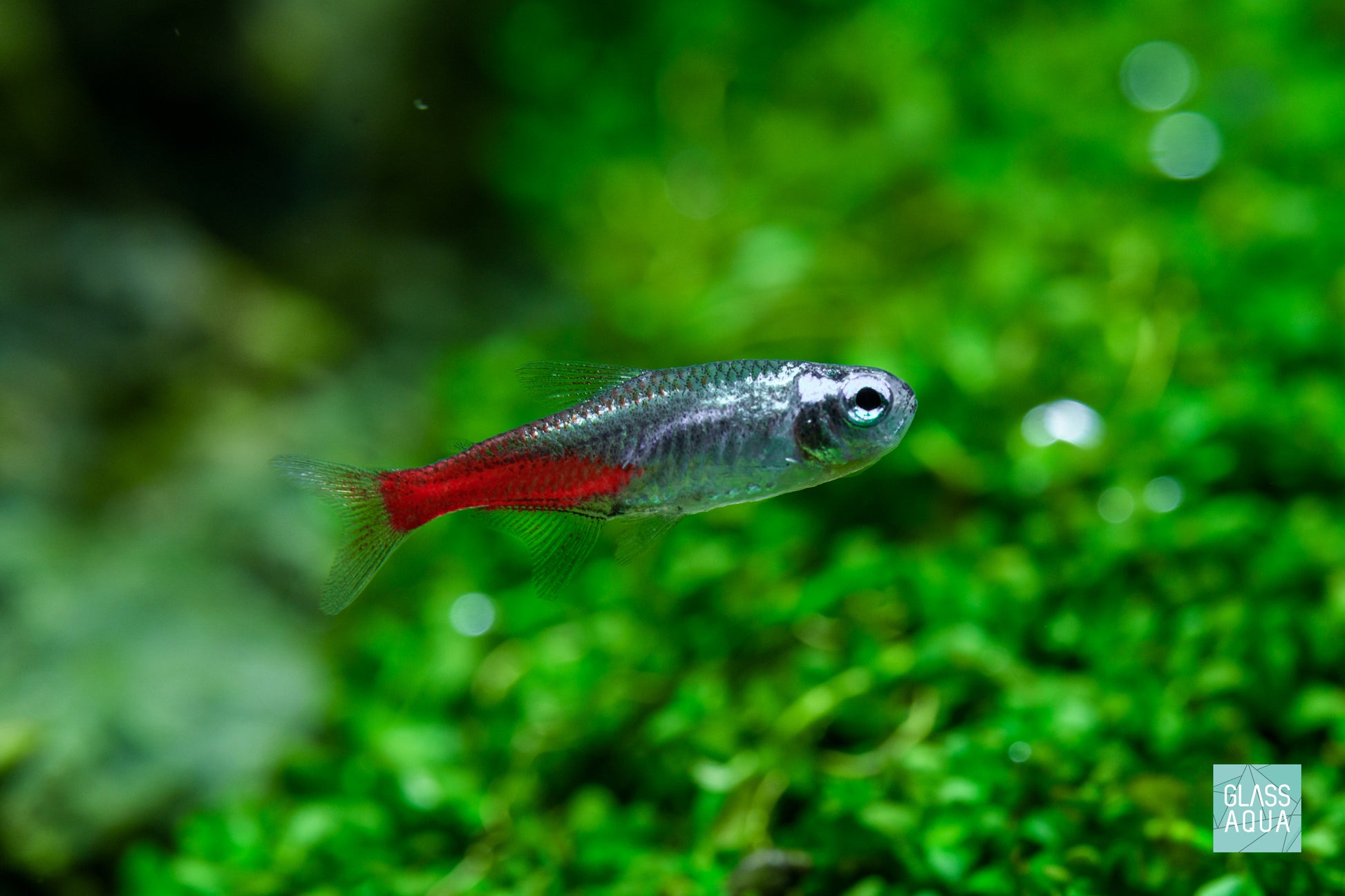 Build Your Own Aquarium Conditioner Bundle