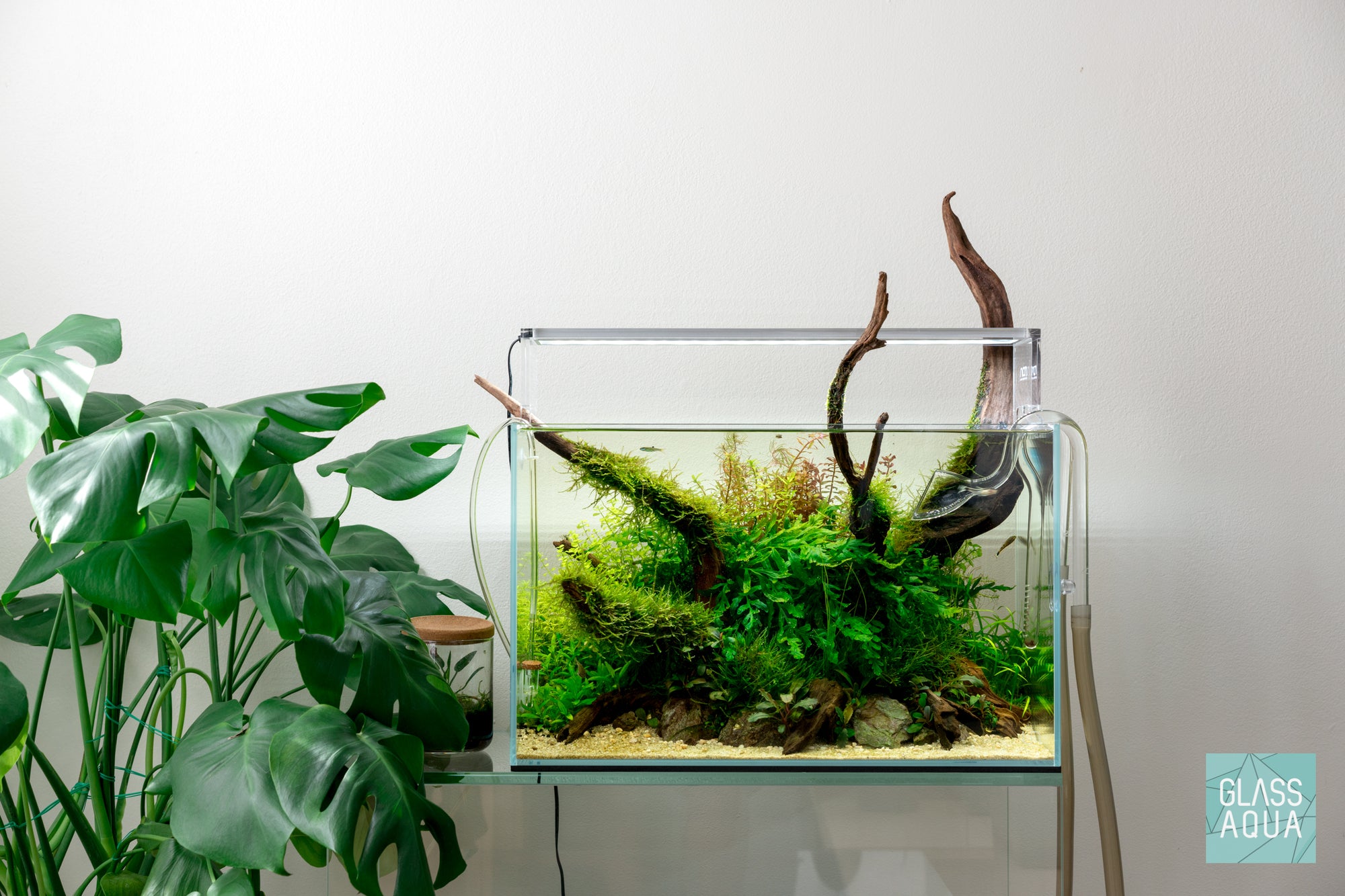 Shop the Look - Green Haven 45U planted aquarium by Glass Aqua
