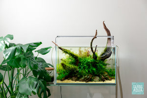 Shop the Look - Green Haven 45U planted aquarium by Glass Aqua
