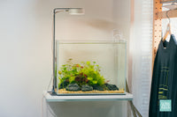 Ultum Nature Systems UNS 5T Nano Planted Aquarium Betta Fish Tank