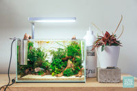 Ultum nature systems UNS 3N Nano Rimless Glass Aquarium Tank Betta Fish Aquascape