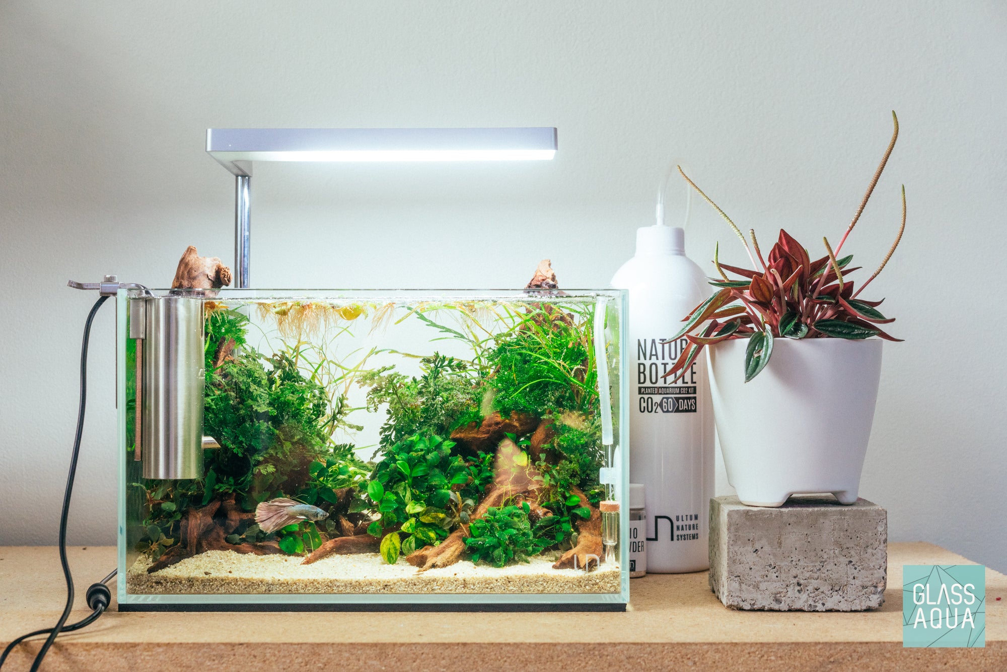 Ultum nature systems UNS 3N Nano Rimless Glass Aquarium Tank Betta Fish Aquascape