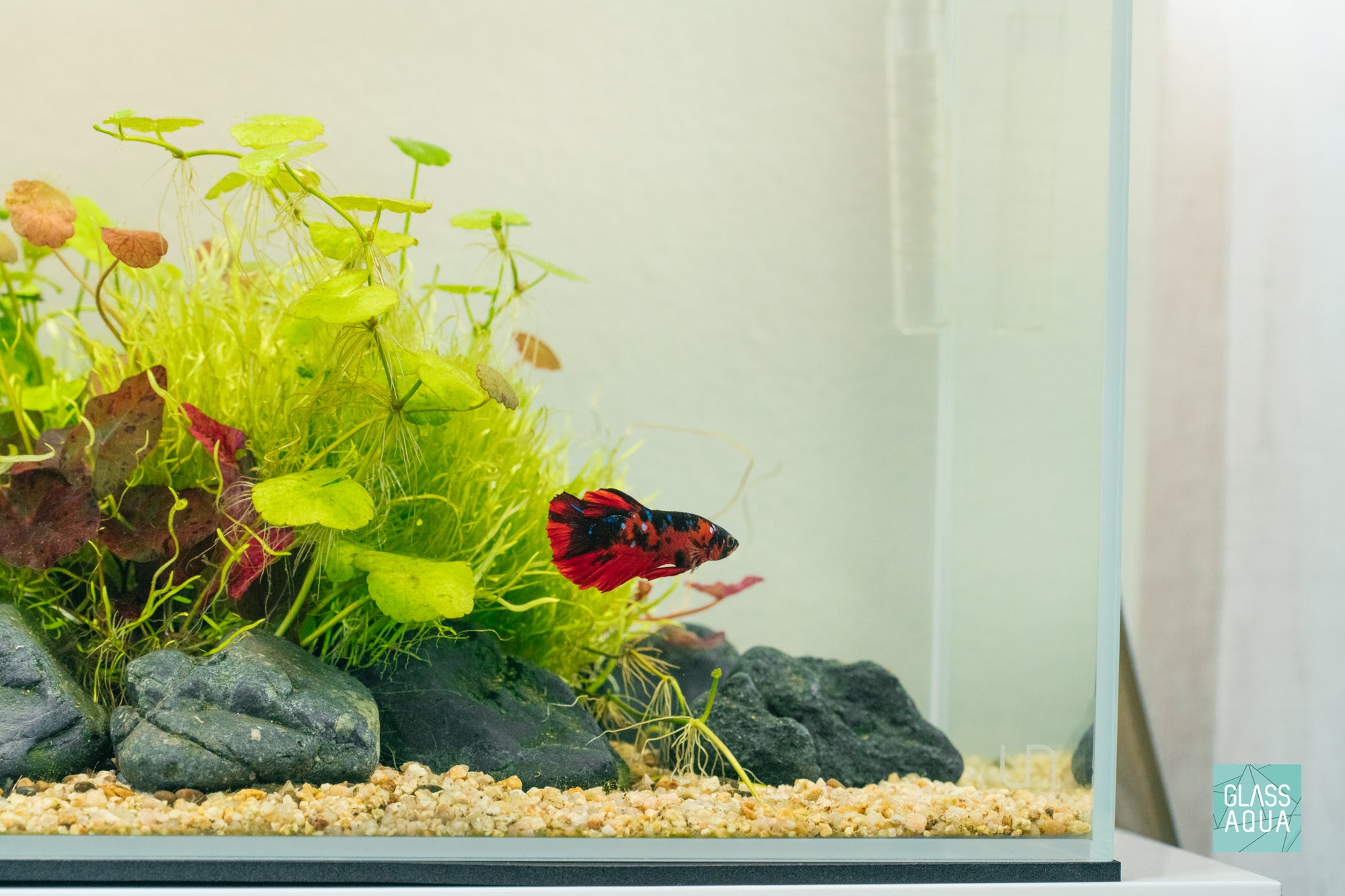 Ultum Nature Systems Controsand - Monterey - Glass Aqua