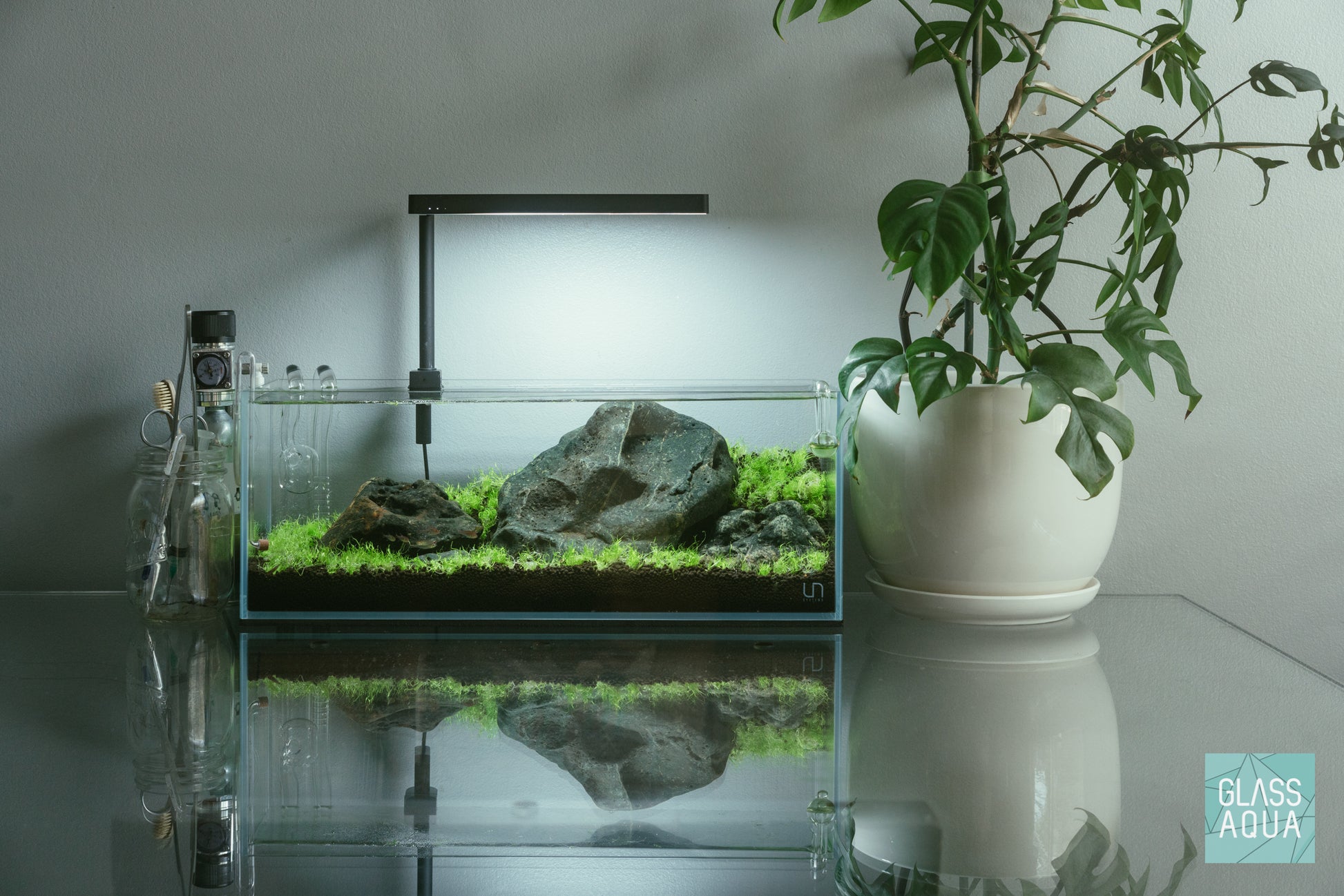 Utricularia Graminifolia growing in a nano iwagumi aquascape featuring Hakkai stone.