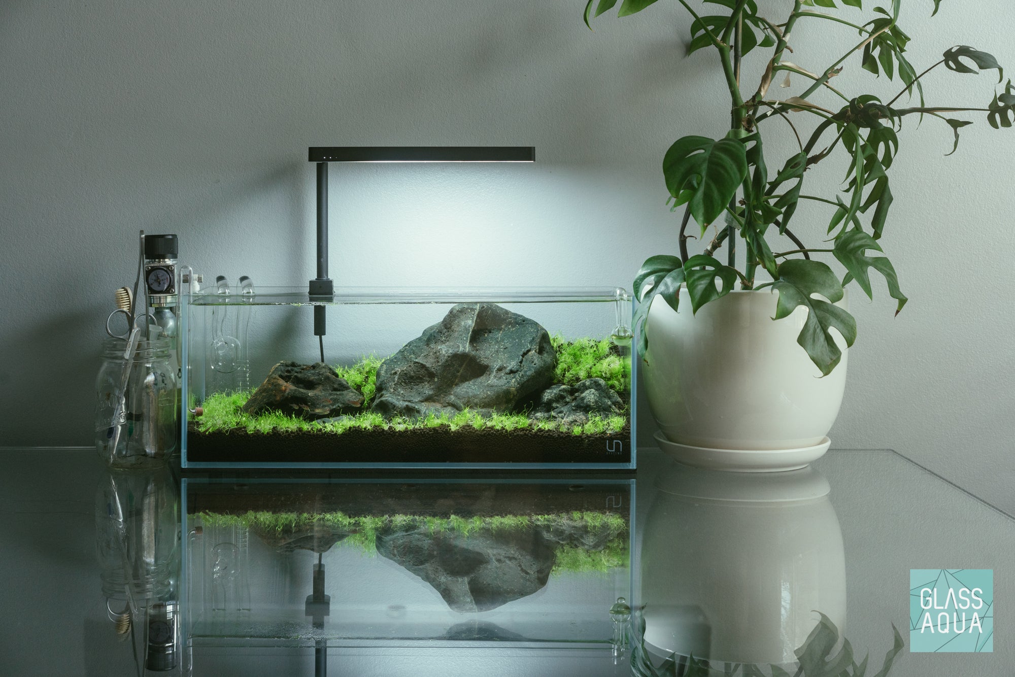 Utricularia Graminifolia growing in a nano iwagumi aquascape featuring Hakkai stone.