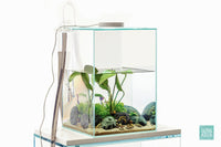 Marsh Stone - Glass Aqua