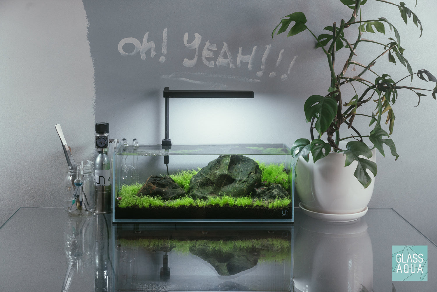 Ultum Nature Systems UNS 45L Long Rimless Glass Aquarium Tank Iwagumi Aquascape