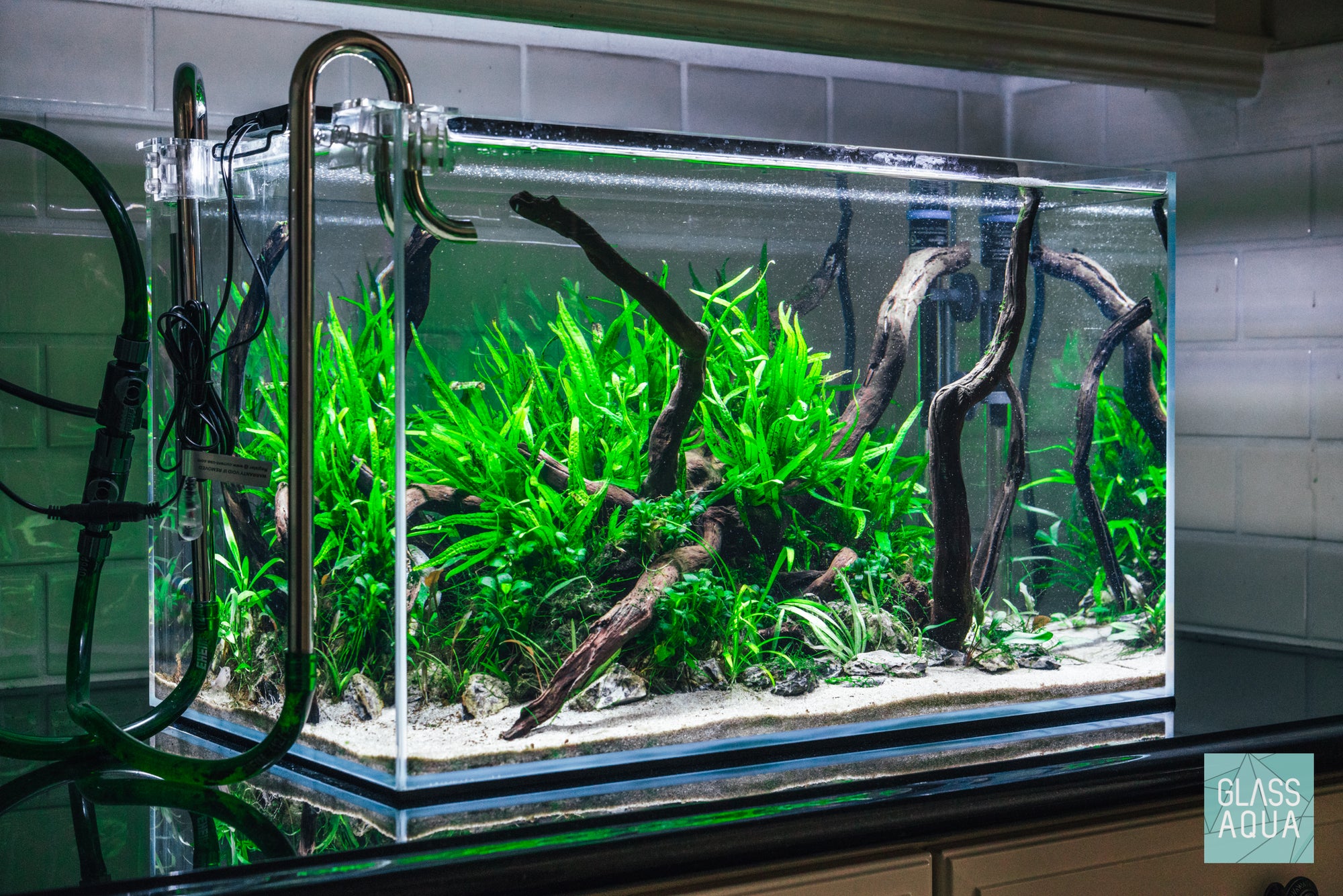 Low Light Aquascape in the Ultum Nature Systems 60U Rimless Aquarium