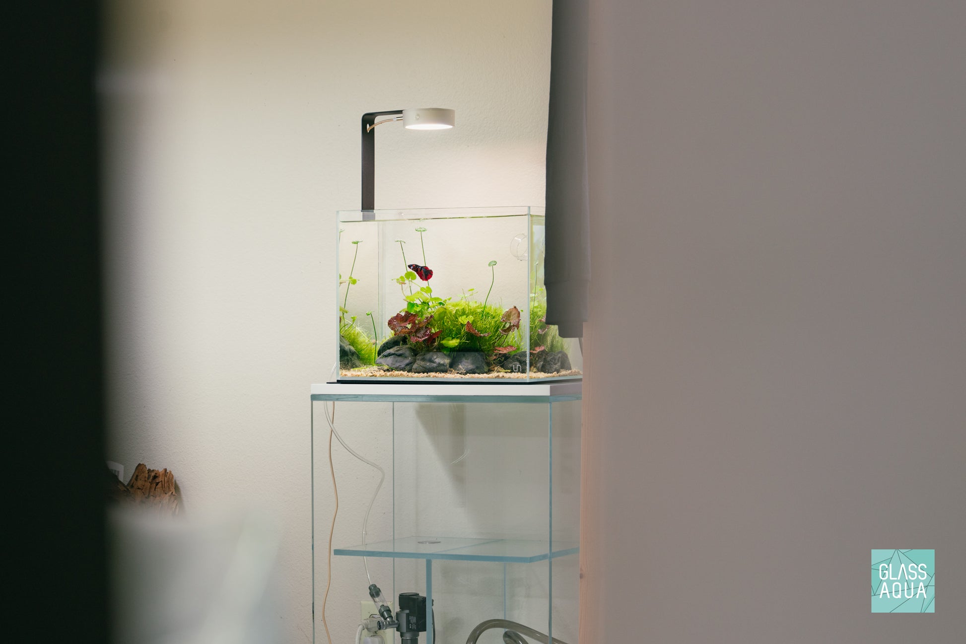 Build Your Own Betta Aquarium Tank Kit