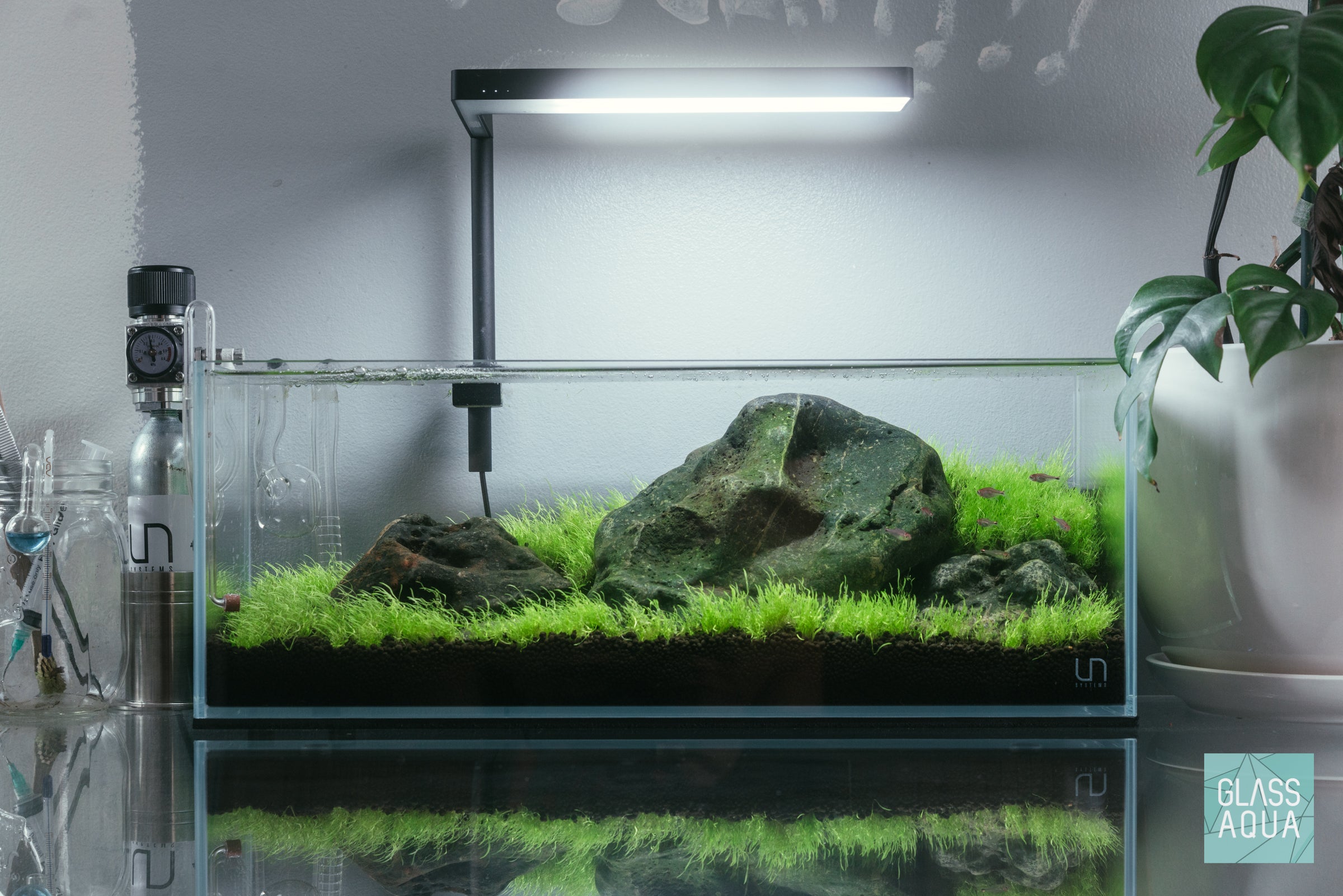 Ultum Nature Systems UNS 45L Long Rimless Glass Aquarium Tank Iwagumi Aquascape