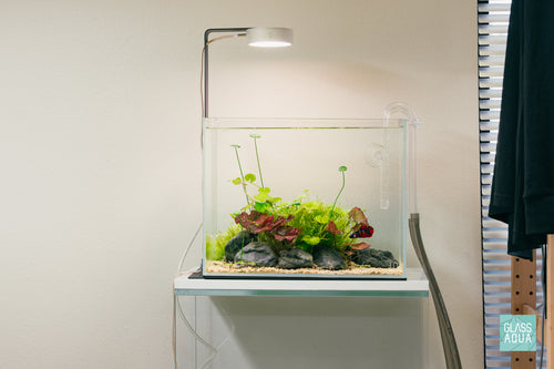Build Your Own Betta Aquarium Tank Kit