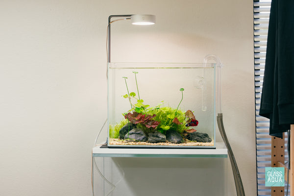 Build Your Own Betta Aquarium Tank Kit - Glass Aqua