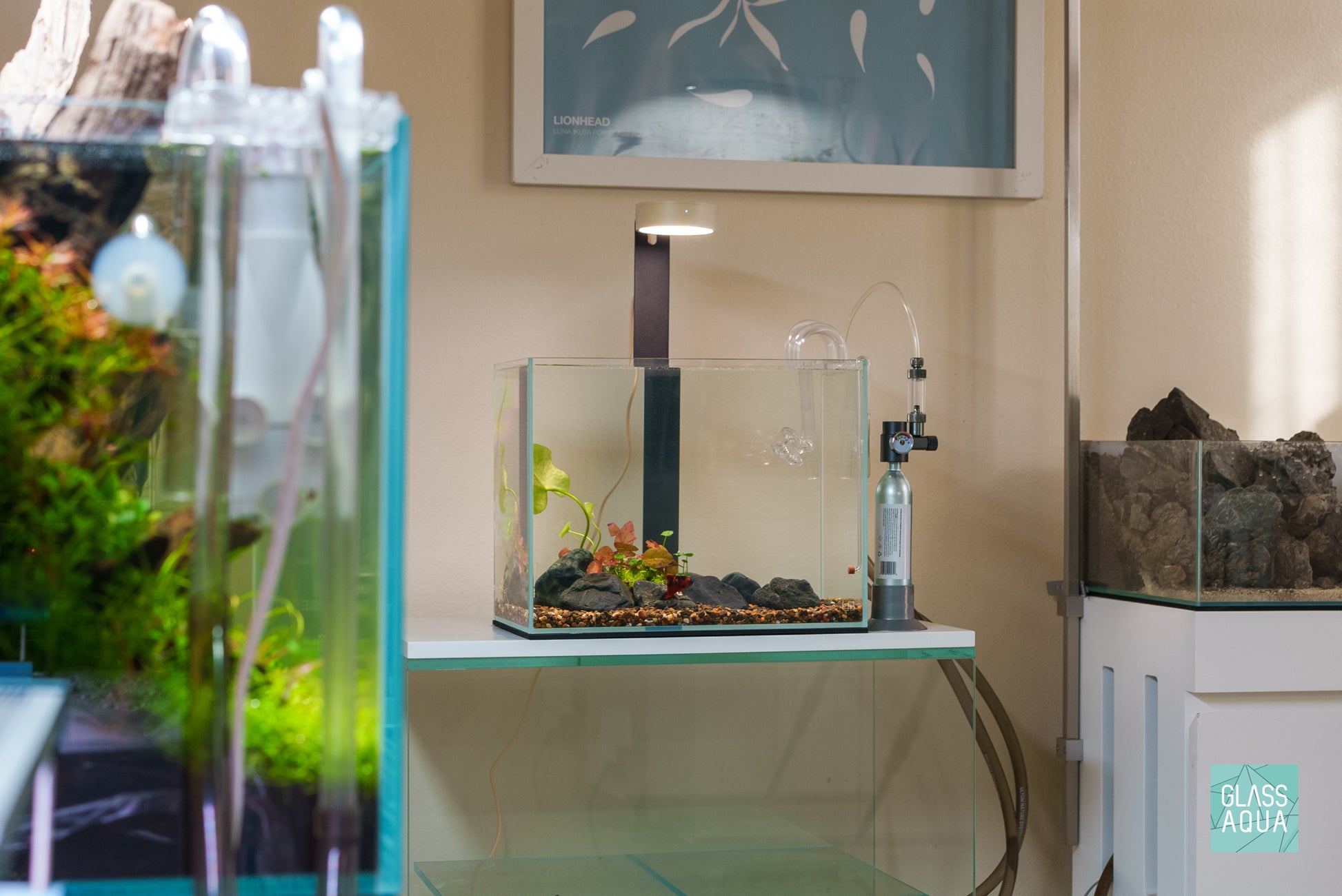 ONF Mist-O Light and Stand Set | Shop Planted Tank Lights - Glass Aqua