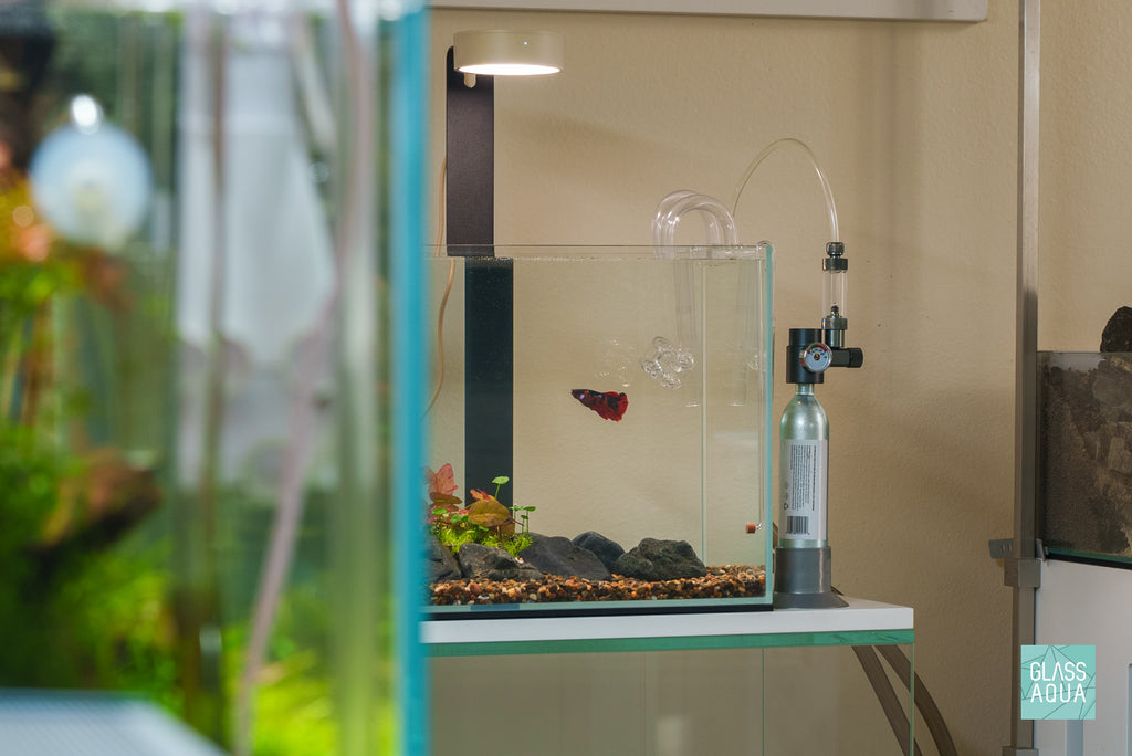 Ultum Nature Systems UNS CO2 Nano  Micro Desktop Full Kit for Planted Aquarium Tanks - Glass Aqua