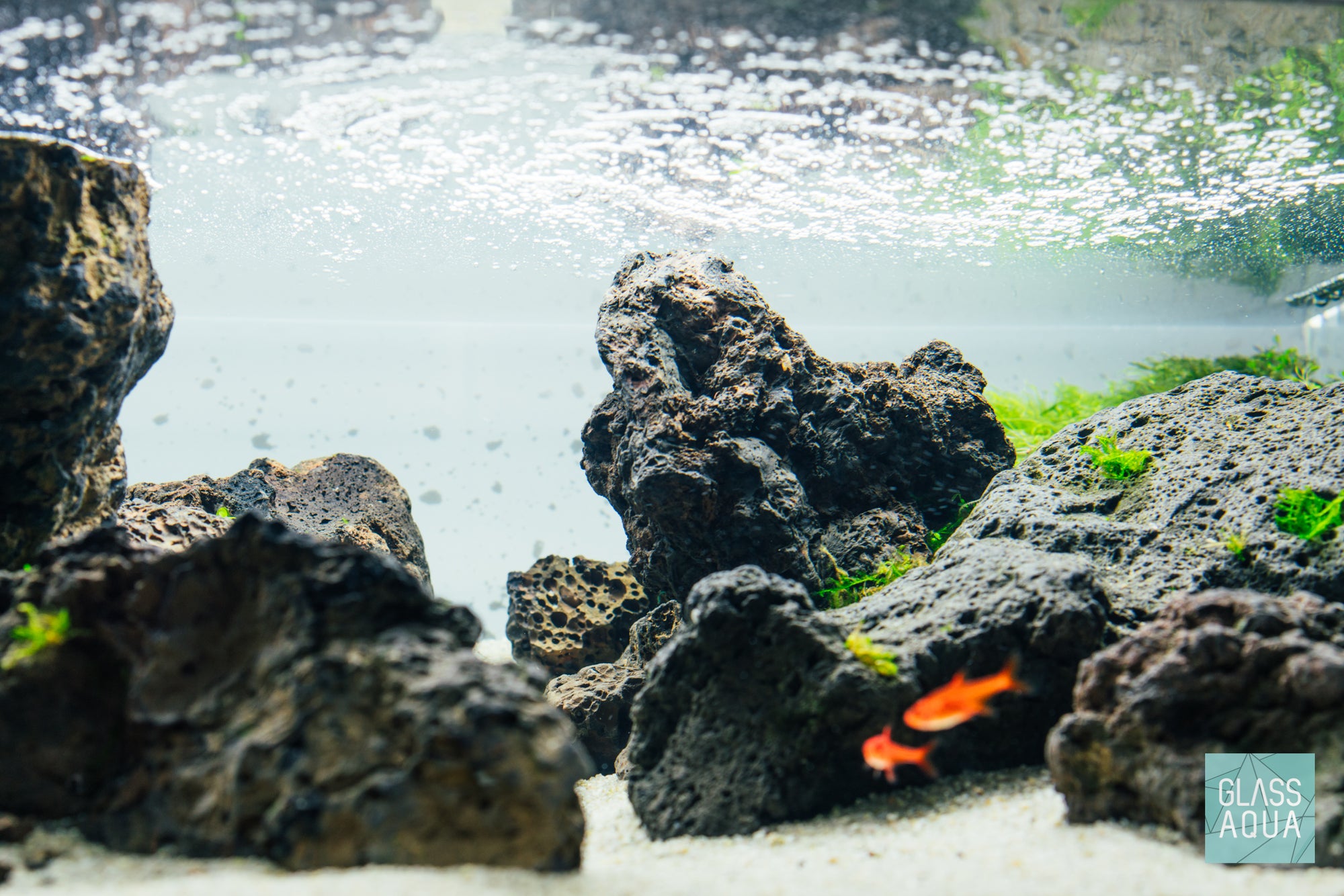 Build Your Own Aquarium Conditioner Bundle - Glass Aqua