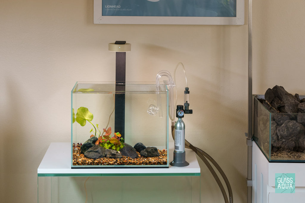 Ultum Nature Systems UNS CO2 Nano  Micro Desktop Full Kit for Planted Aquarium Tanks - Glass Aqua