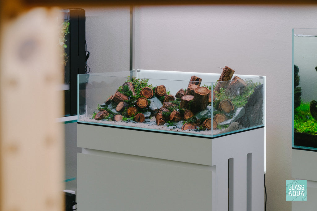 Ultum Nature Systems UNS 60S 10 Gallon Shallow Rimless Glass Aquarium Hardscape