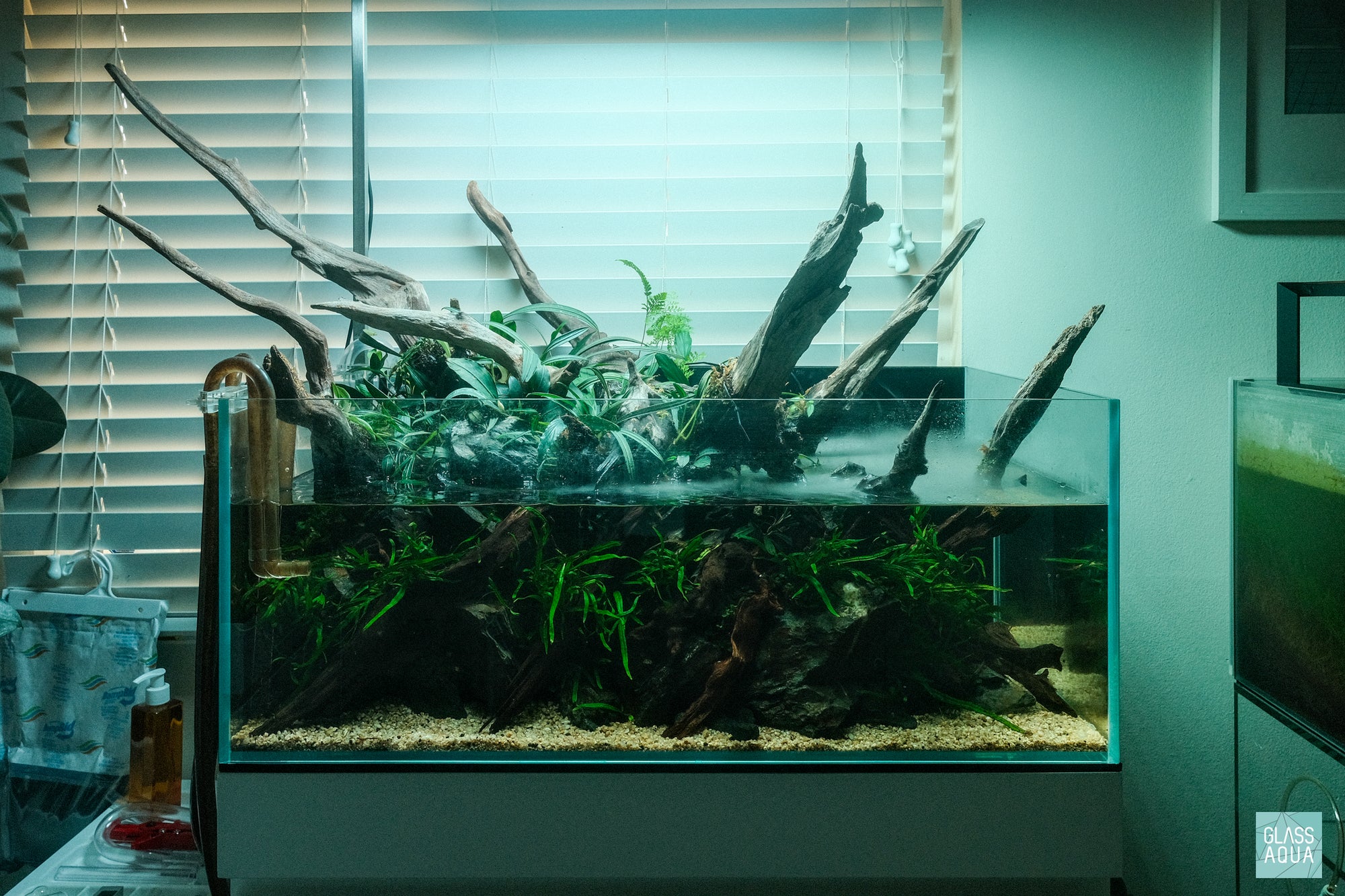 Rainforest Mist - Ultum Nature Systems 75S shallow planted aquarium with a variety of aquatic and terrestrial plants