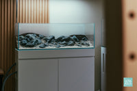 Iwagumi Aquascape Layout in an Ultum Nature Systems 90L Long Rimless Tank
