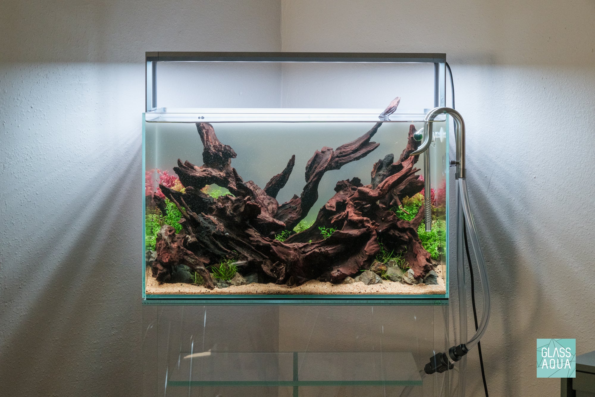 ADA 60P Planted Nature Aquarium 16 Gallon Tank with Malaysian Driftwood