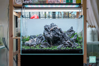 Iwagumi Planted Aquarium Tank Ultum Nature Systems 45U Rimless Aquarium