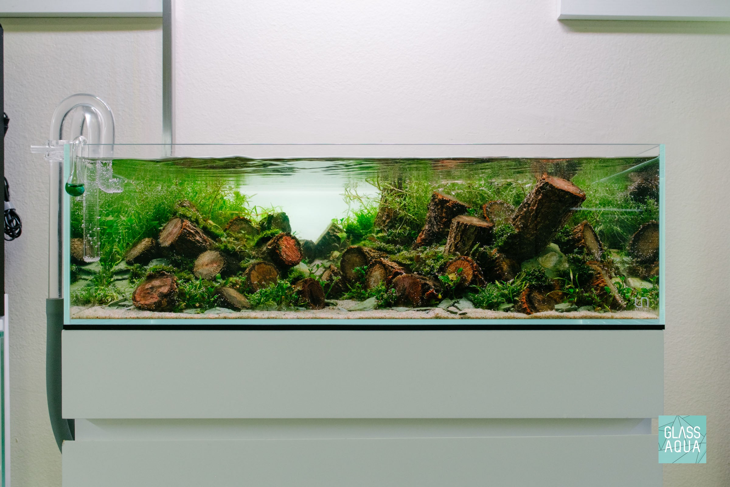 Ultum Nature System Planted 60S Shallow Rimless Aquarium