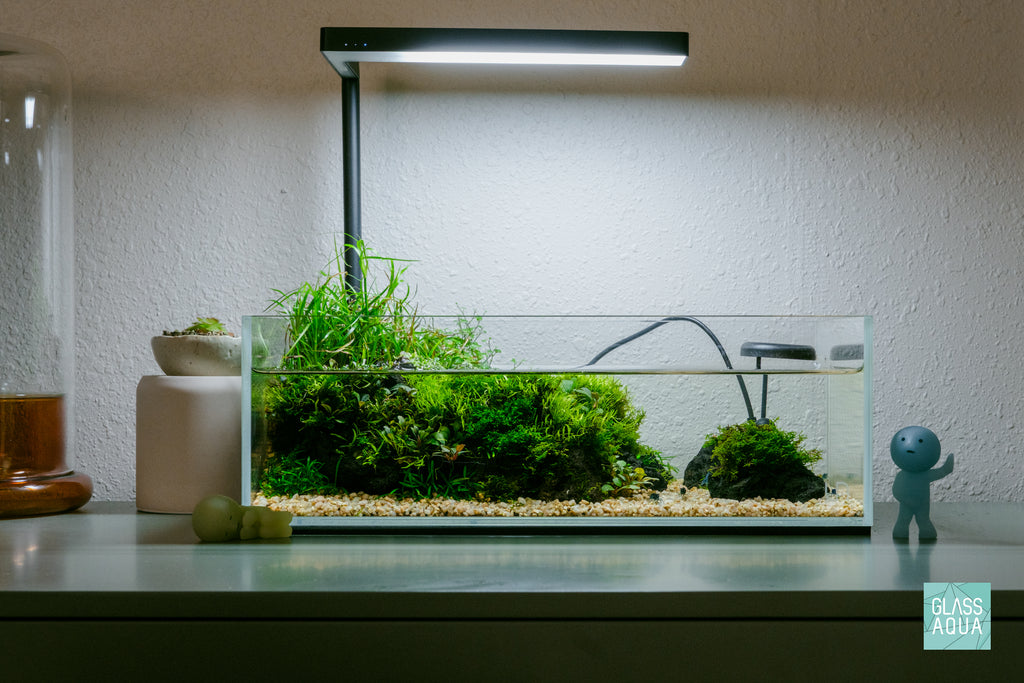 Aquario Neo Plants Tab - Glass Aqua