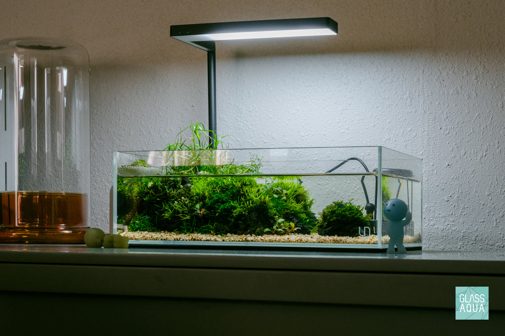 Desktop Shallow Aquarium Starter Kit - Glass Aqua
