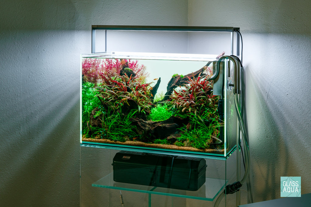 17 Gallon ADA 60P nature style planted aquarium with colorful aquatic stem plants