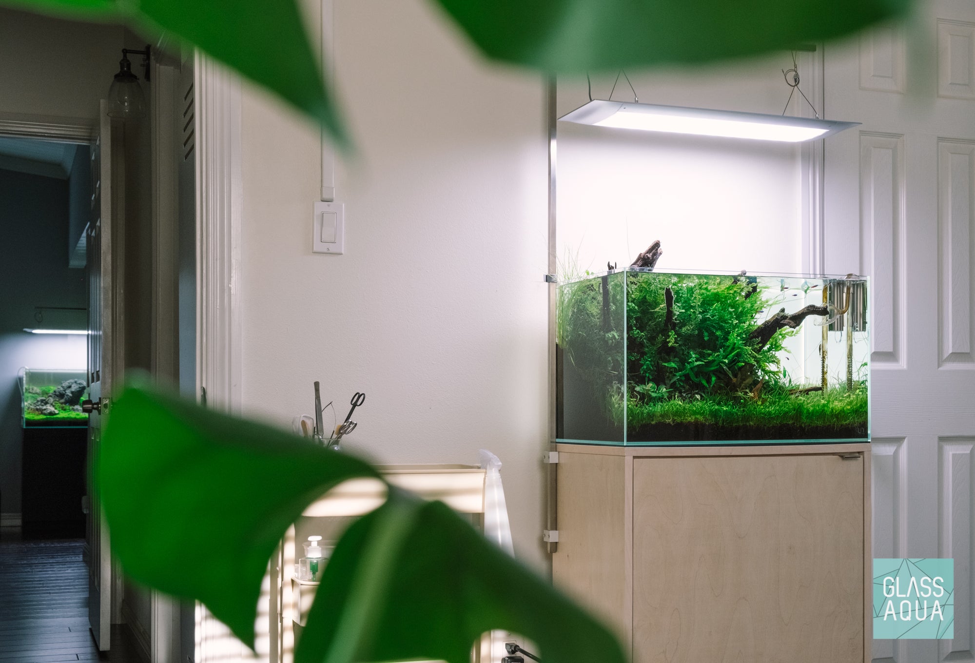 Flora Green - A planted aquarium designed by Glass Aqua