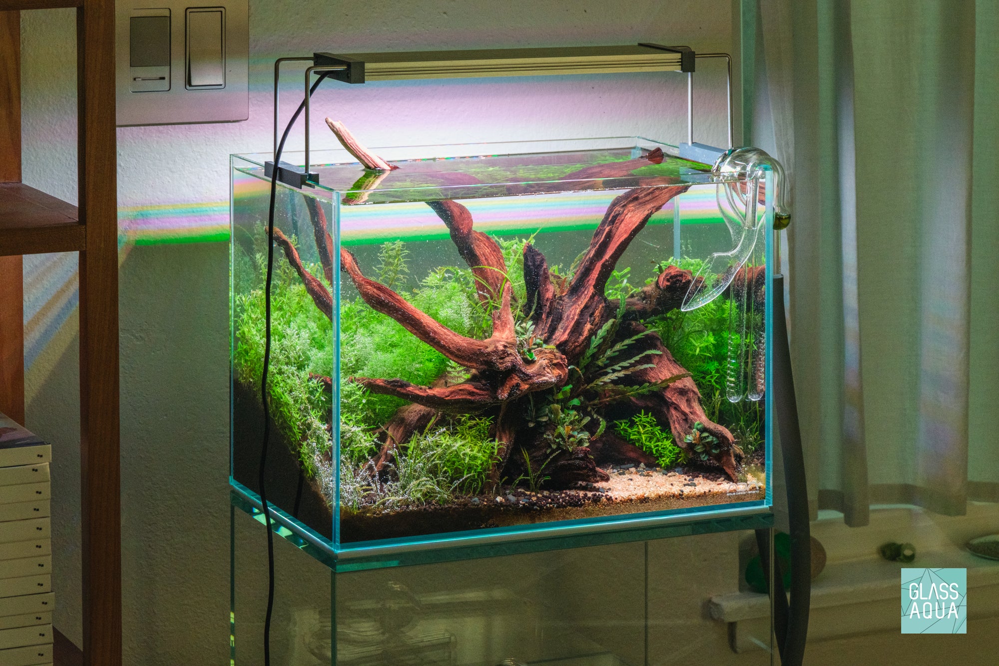 ADA Mini M Planted Nano Tank Nature Aquarium Style
