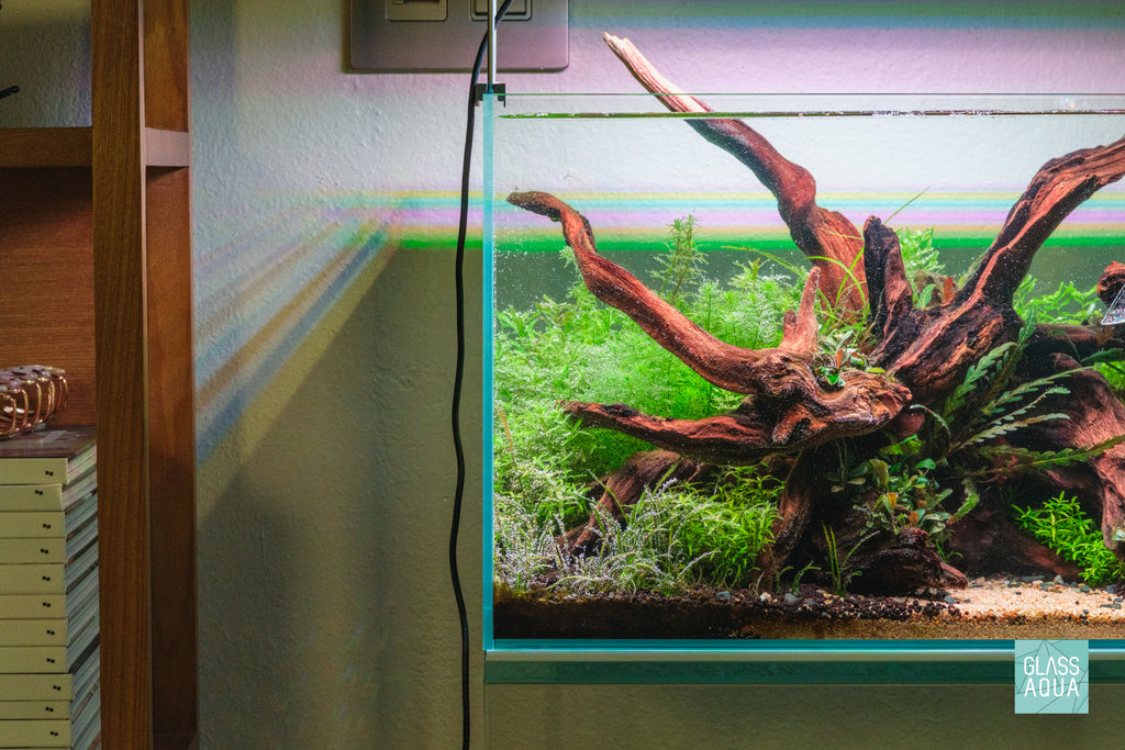 ADA Mini M Planted Nano Tank Nature Aquarium Style