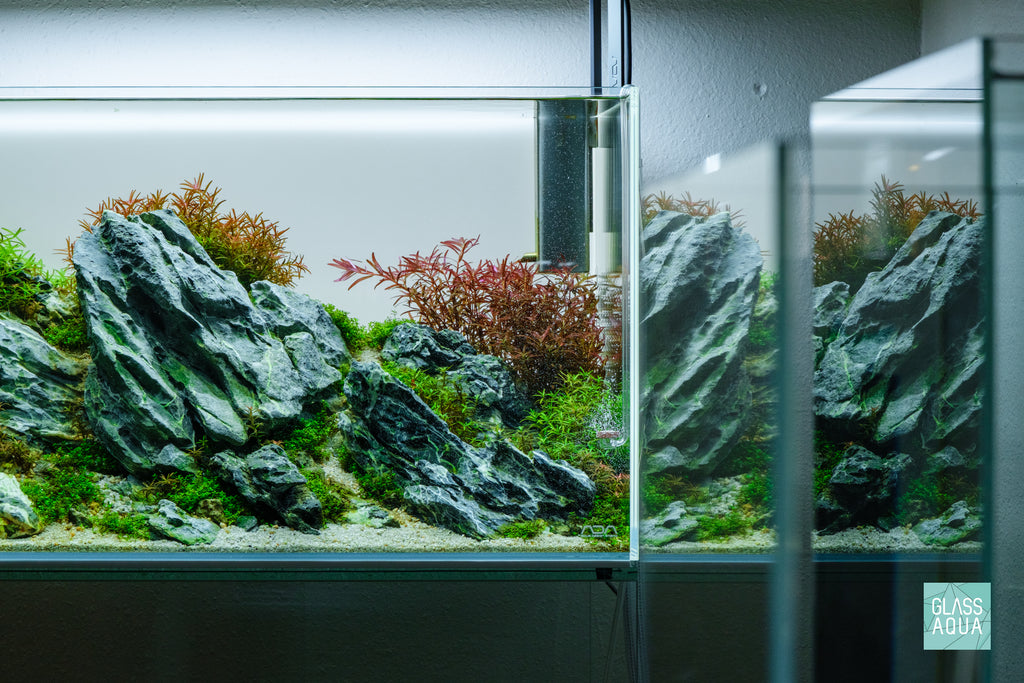 Aquario Curved Special Acrylic CO2 Diffuser for Planted Aquarium Tank