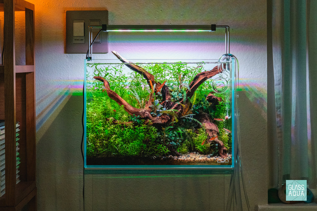 Aquario Normal Special Acrylic CO2 Diffuser for Planted Aquarium Tank