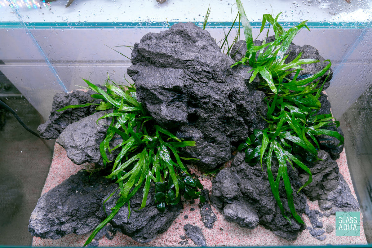 Ultum Nature Systems UNS 45U Chameleon Stone Planted Aquarium