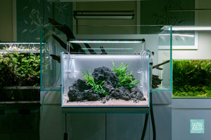 Ultum Nature Systems UNS 45U Chameleon Stone Planted Aquarium
