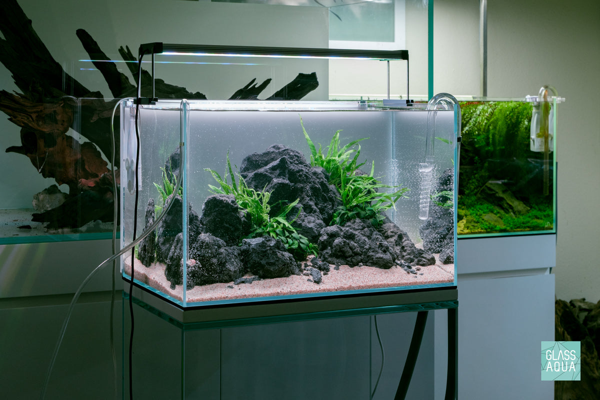 Ultum Nature Systems UNS 45U Chameleon Stone Planted Aquarium